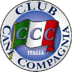 club cani da compagnia barboni toy