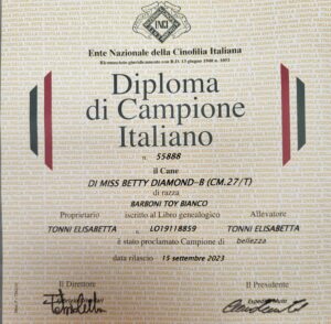 Diamond Campione Italiano 2023